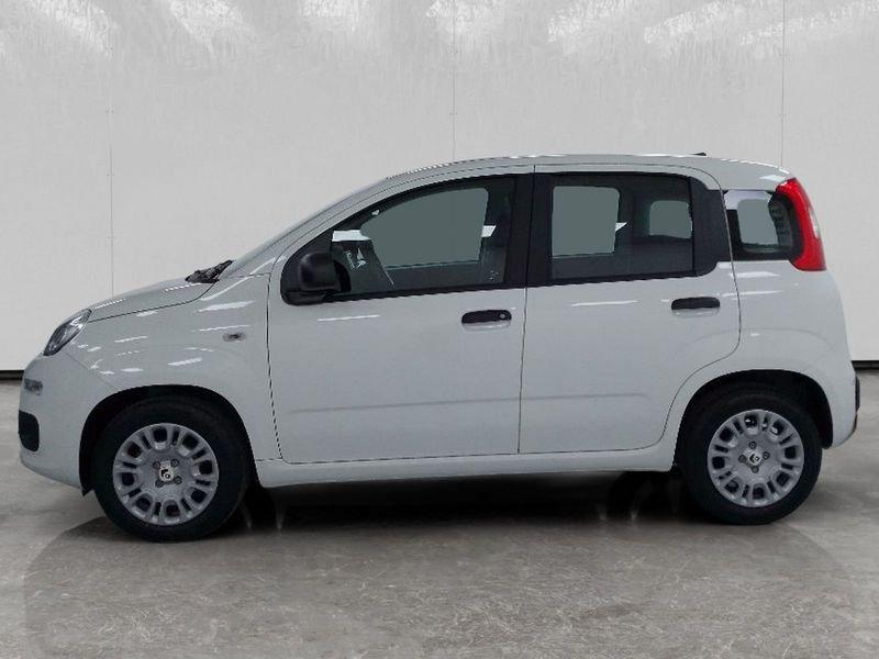 FIAT Pandina 1.0 firefly hybrid Icon s&s 70cv