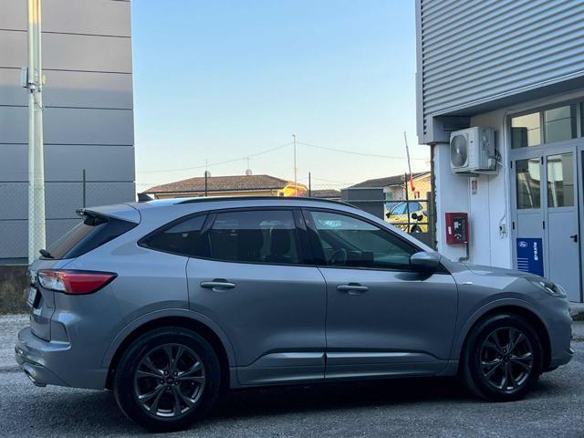 FORD Kuga 1.5 EcoBlue 120 CV aut. 2WD ST-Line X