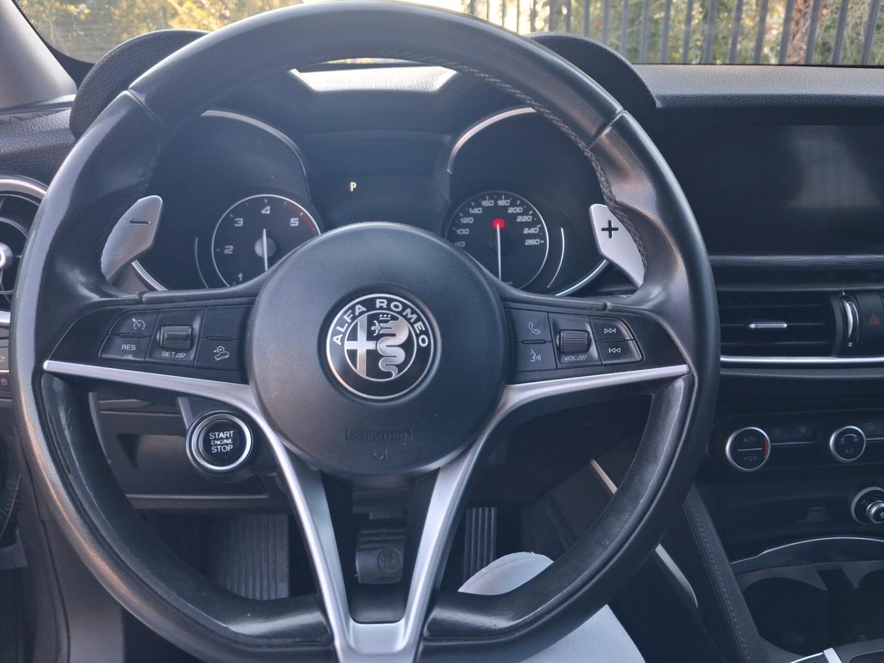 Alfa Romeo Stelvio 2.2 Turbodiesel 180 CV AT8 RWD Executive