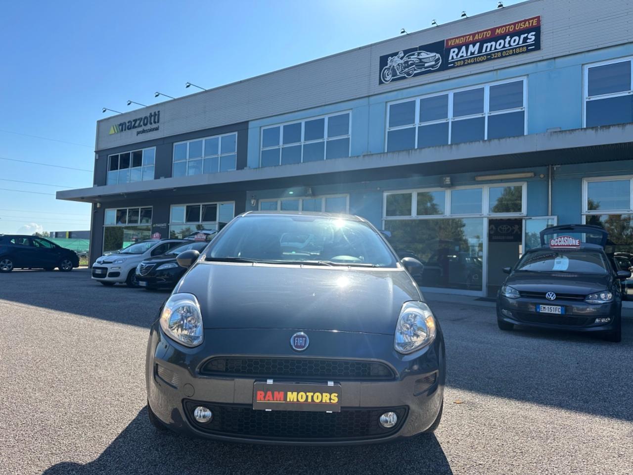 Fiat Punto 1.2 8V 5 porte Street NEOPATENTATI