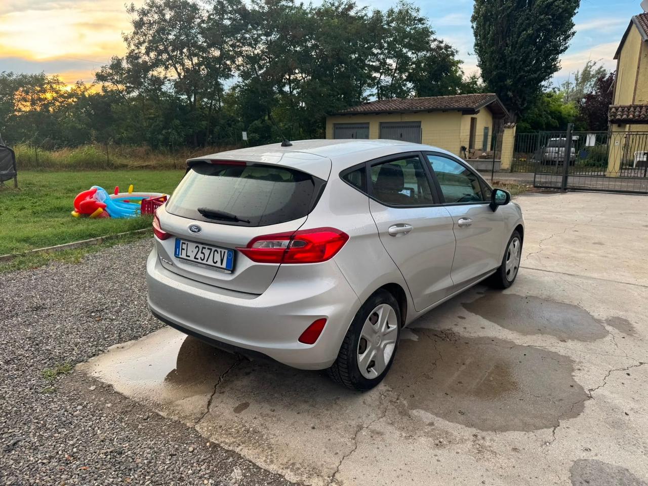 Ford Fiesta 1.1 5 porte Plus