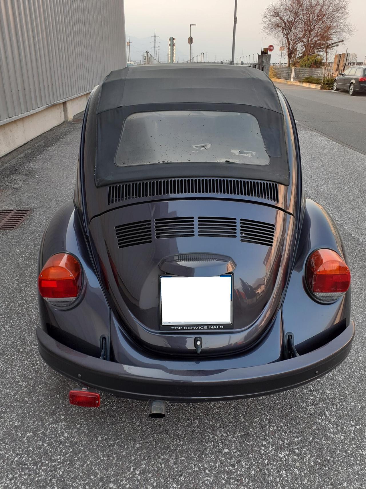 Volkswagen Passat Maggiolino