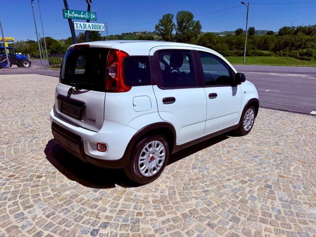 FIAT New Panda KM 9.000 - BLUETOOTH - 5 POSTI - PROMO FINANZIAMEN