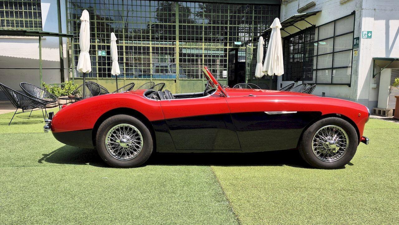 Austin-Healey 100 BN1 – 1954 - SUMMER PRICE