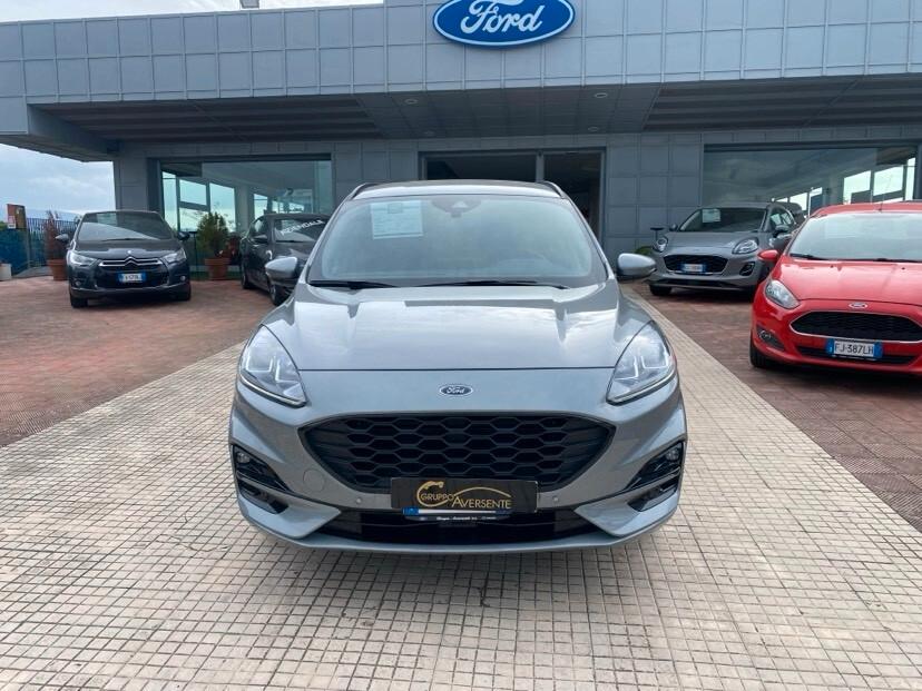 Ford Kuga 2.0 EcoBlue 120 CV aut. 2WD ST-Line