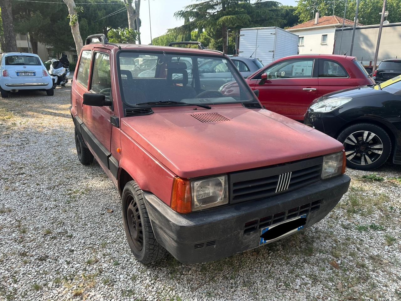 Fiat Panda 1100 i.e. cat Hobby