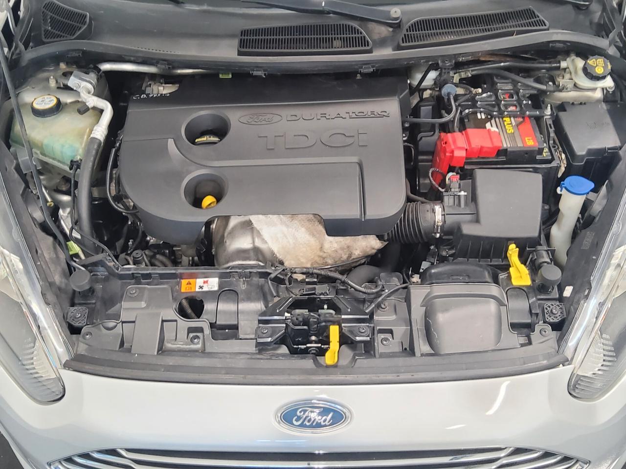 Ford Fiesta 1.5 TDCi 75CV 5 porte