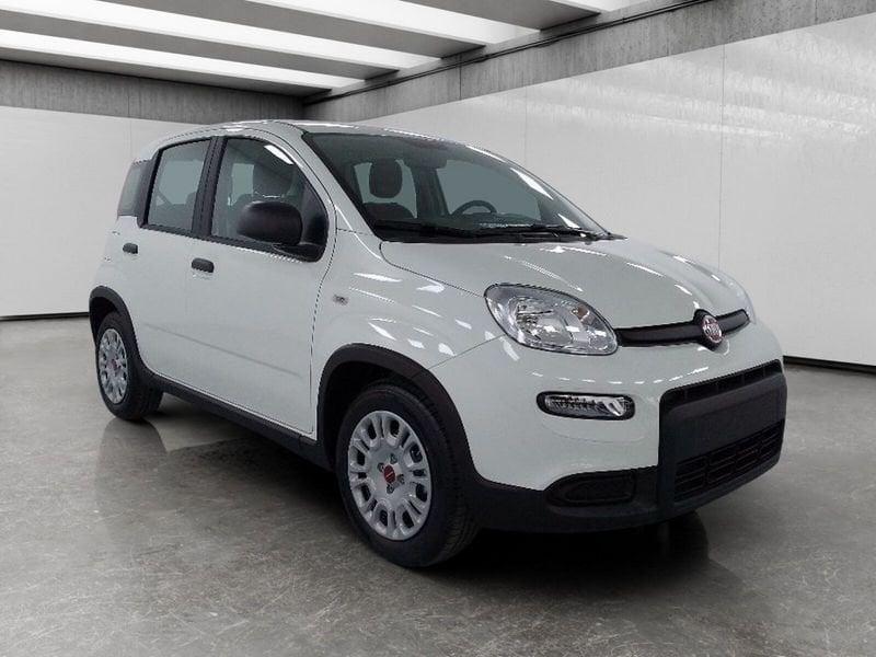 FIAT Panda 1.0 firefly hybrid s&s 70cv 5p.ti