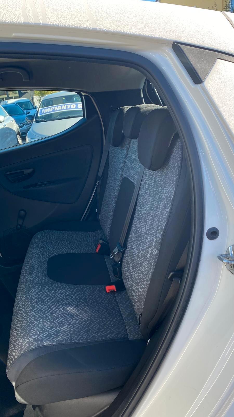Lancia Ypsilon 1.2 69 CV 5 porte Elefantino
