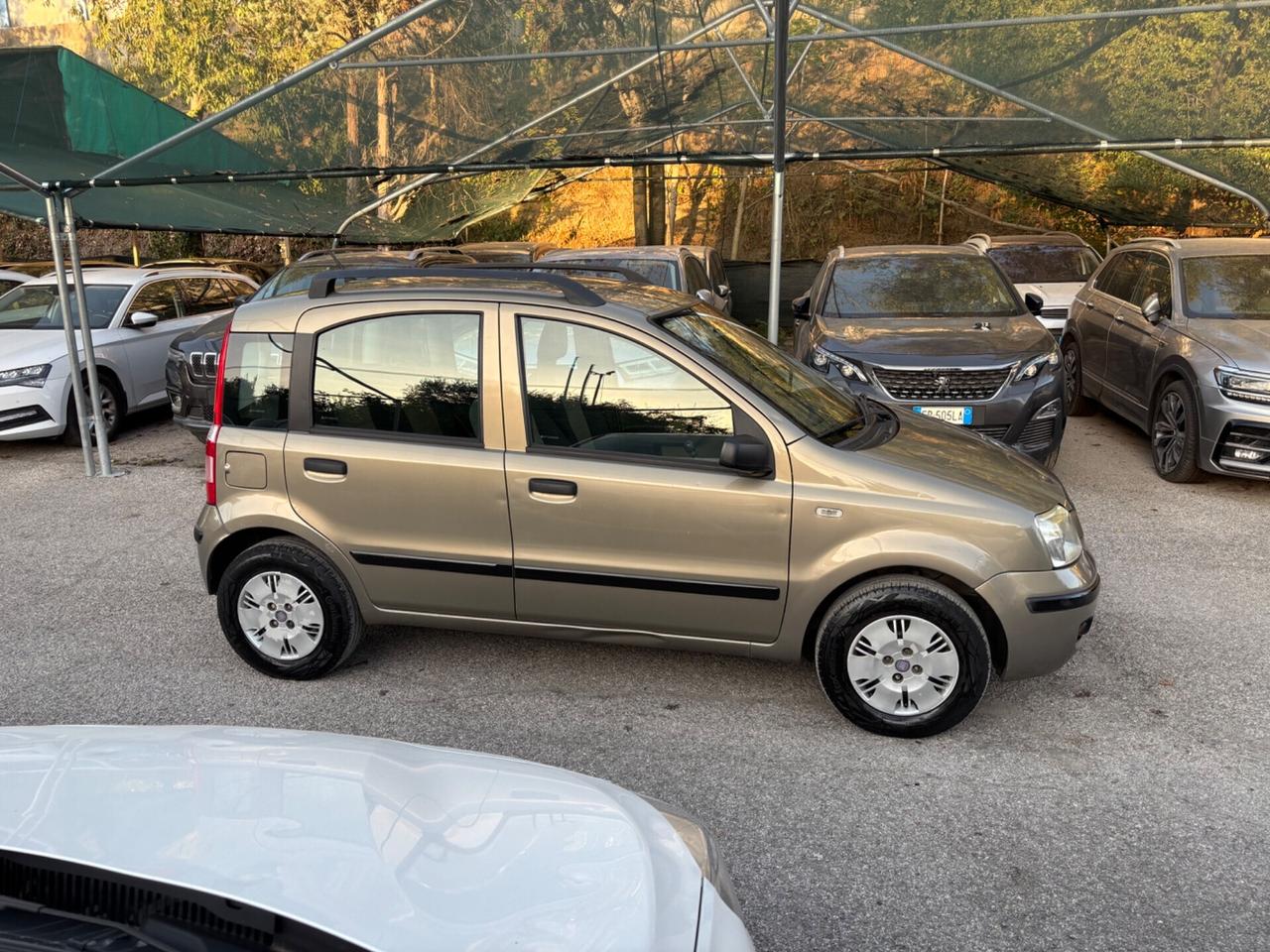 Fiat Panda 1.2 Dynamic OK NEOPATENTATI