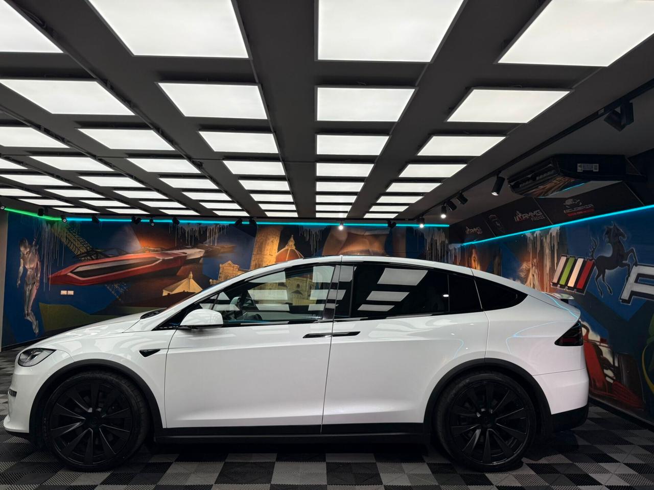 Tesla Model X LONG RANGE (329)