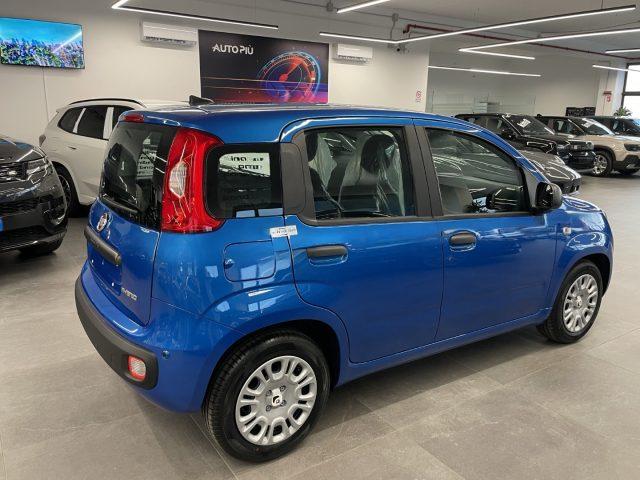 FIAT Pandina 1.0 Hybrid Icon KM0 MY26