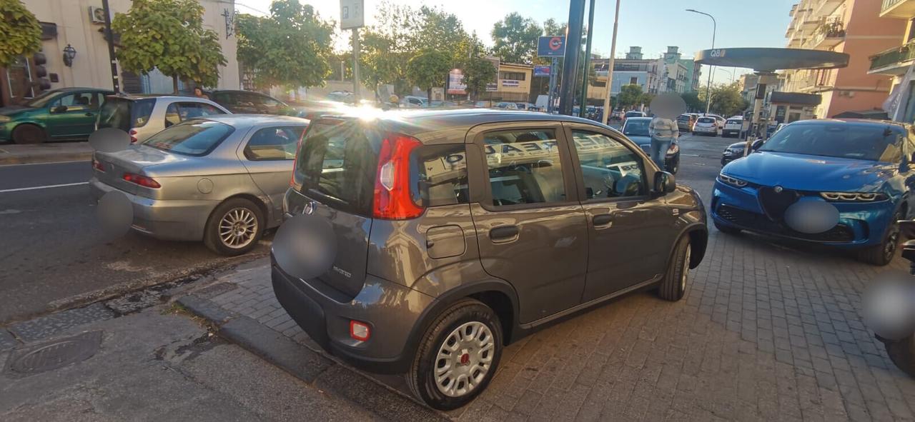 Fiat Panda 1.0 FireFly Hybrid City Life 2022 USATO