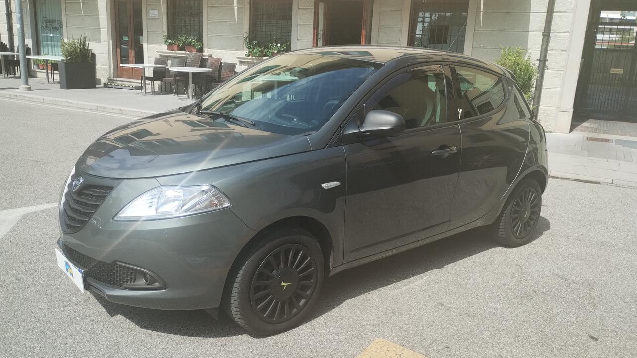 Lancia Ypsilon 1.2 69 CV 5 porte Elefantino NEOPATENTATI