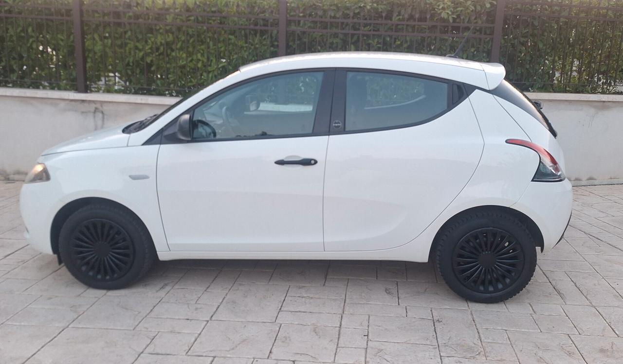 Lancia Ypsilon 1.0 FireFly 5 porte S&S Hybrid Ecochic Silver