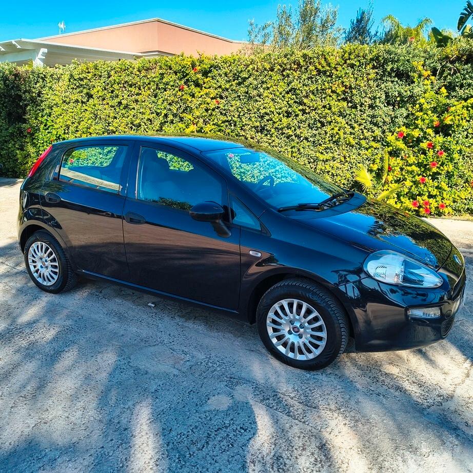 Fiat Punto 1.2 8V 5 porte Street