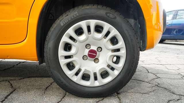 Fiat Panda Panda 1.2 69cv Easy