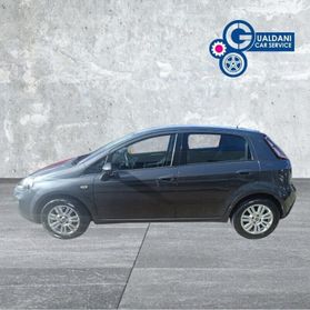 FIAT Punto Punto 1.2 8V 5 porte Easy