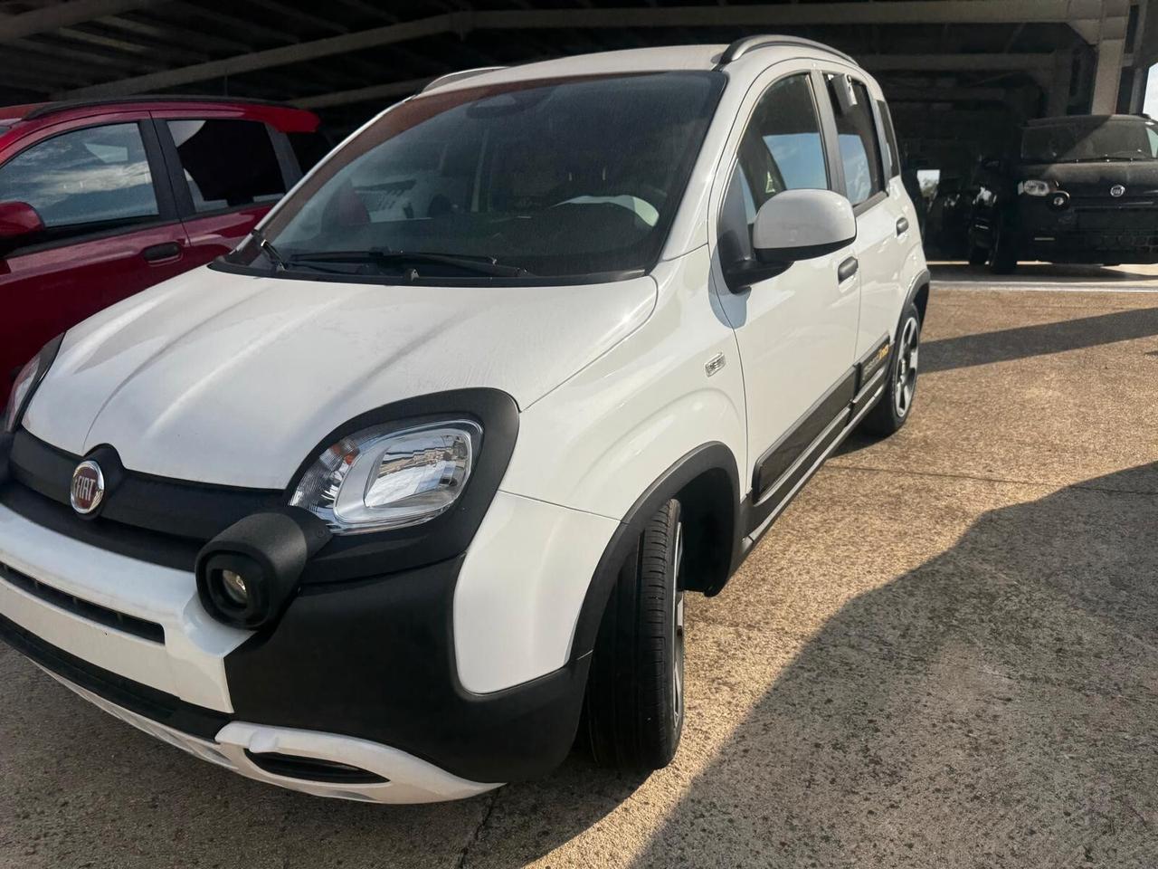 Fiat Panda Pandina 1.0 FireFly 65 CV Hybrid Cross - Nuova da Immatricolare Pronta Consegna