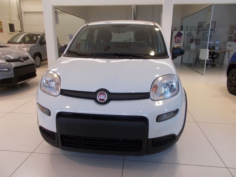 FIAT Panda 1.0 FireFly S&S Hybrid 338.7575187 MASSARI MARCO