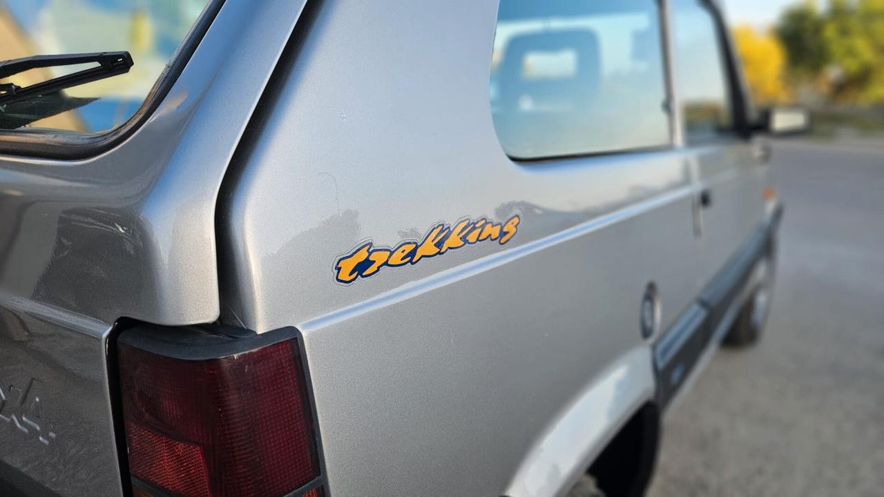 Fiat Panda 4x4 1100 Trekking