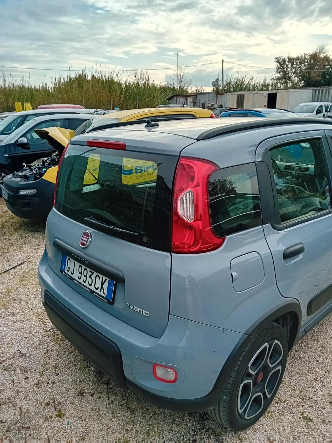 Fiat Panda Fiat Panda III 2021 1.0 firefly hybrid City Life s&s 70cv