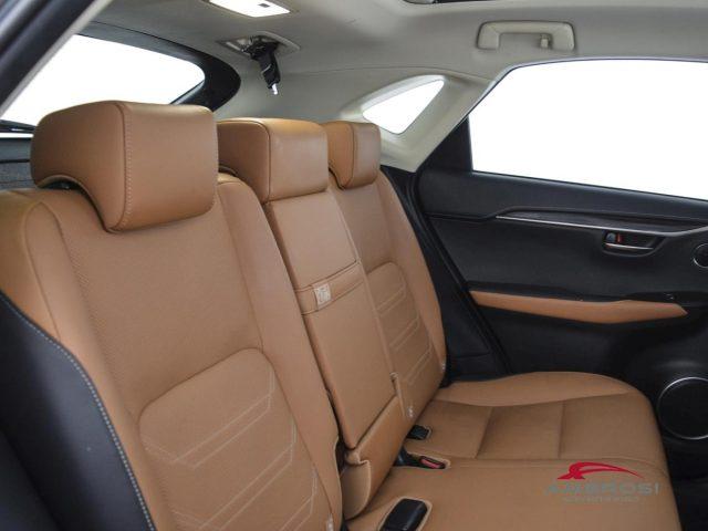 LEXUS NX 300h Hybrid 4WD Luxury