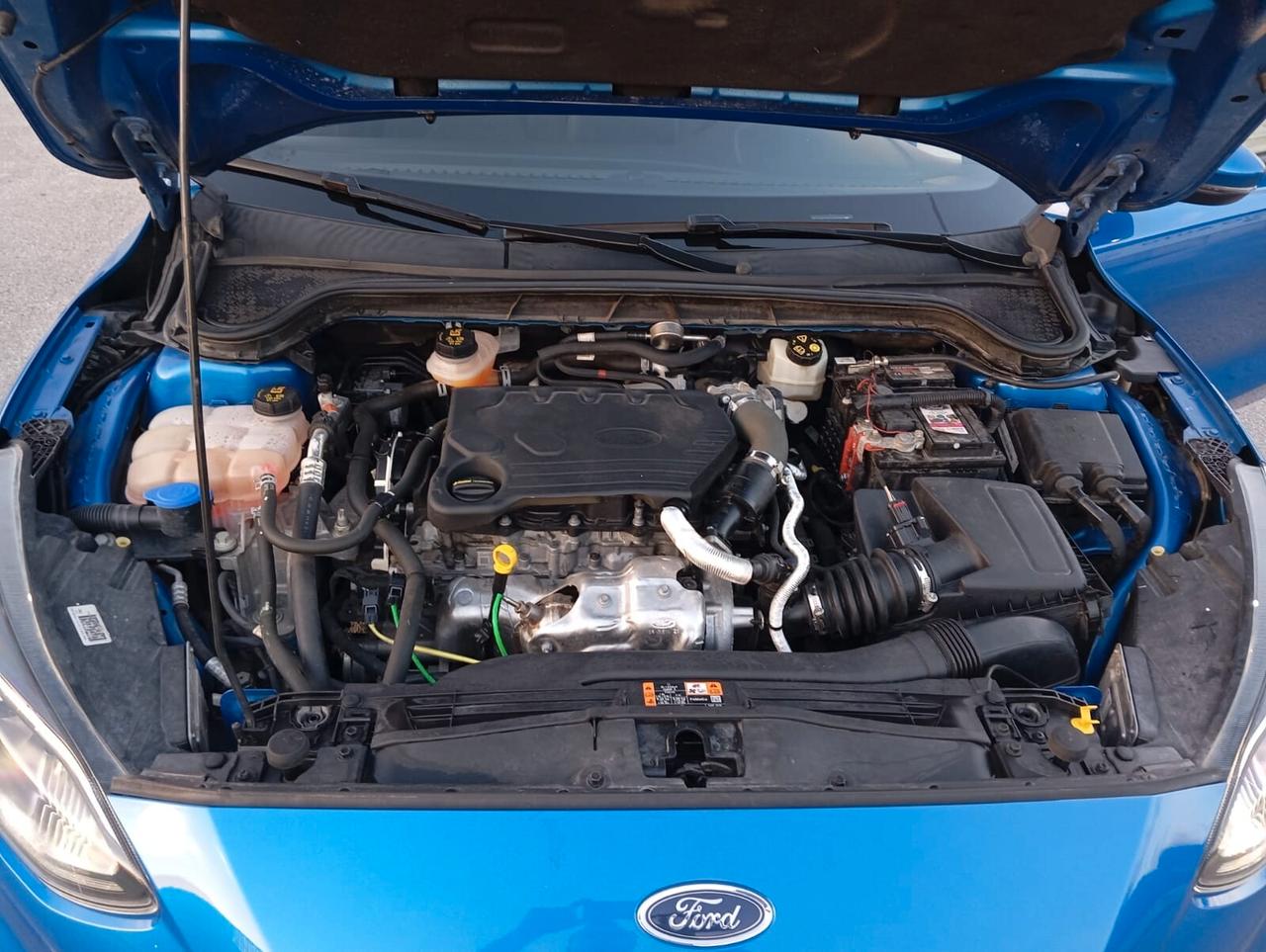 Focus 1.5 EcoBlue 120 CV 5p. ST-Line "KM CERTIFICATI"