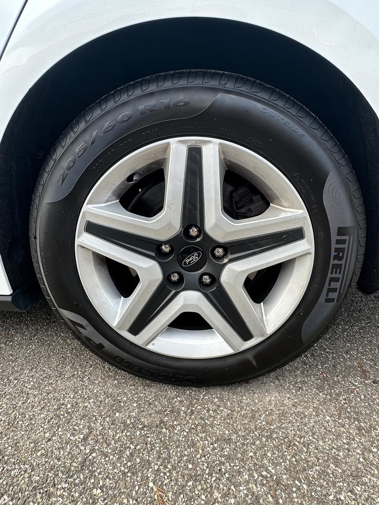 Ford Focus 1.5 EcoBlue 120 CV SW Business (GRANDINATA)