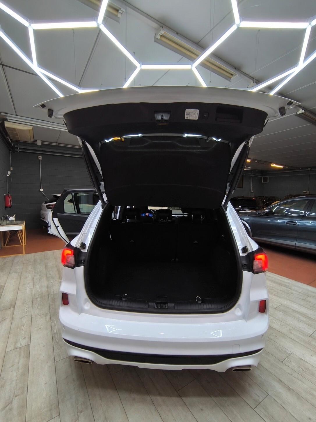 Ford Kuga 2.0 EcoBlue 190 CV aut. AWD ST-Line X