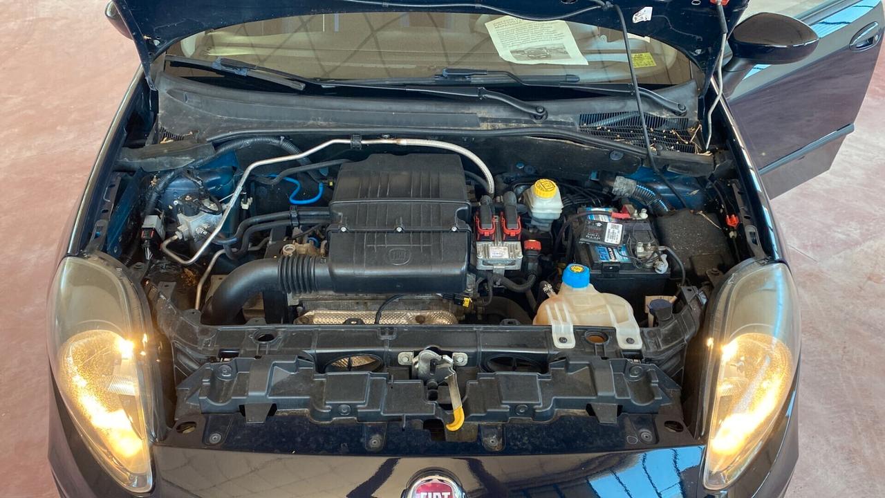 Fiat Punto 1.4 8V 5 porte Natural Power Street