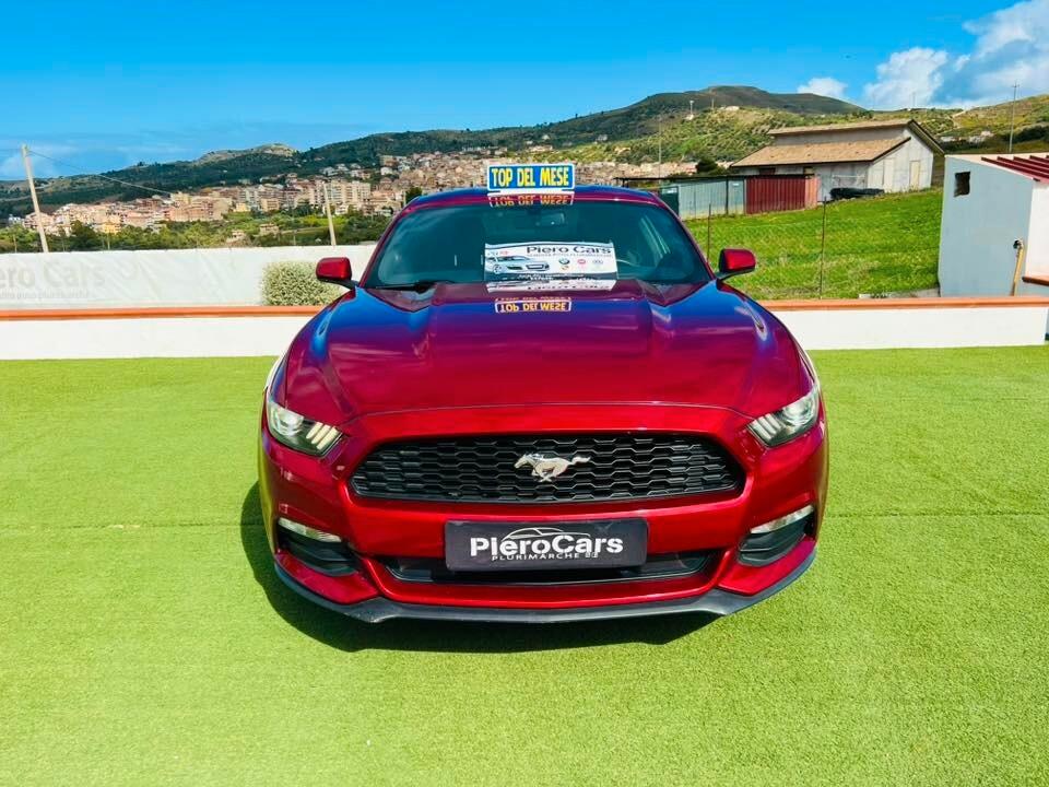 Ford Mustang Fastback 3.7 310CV