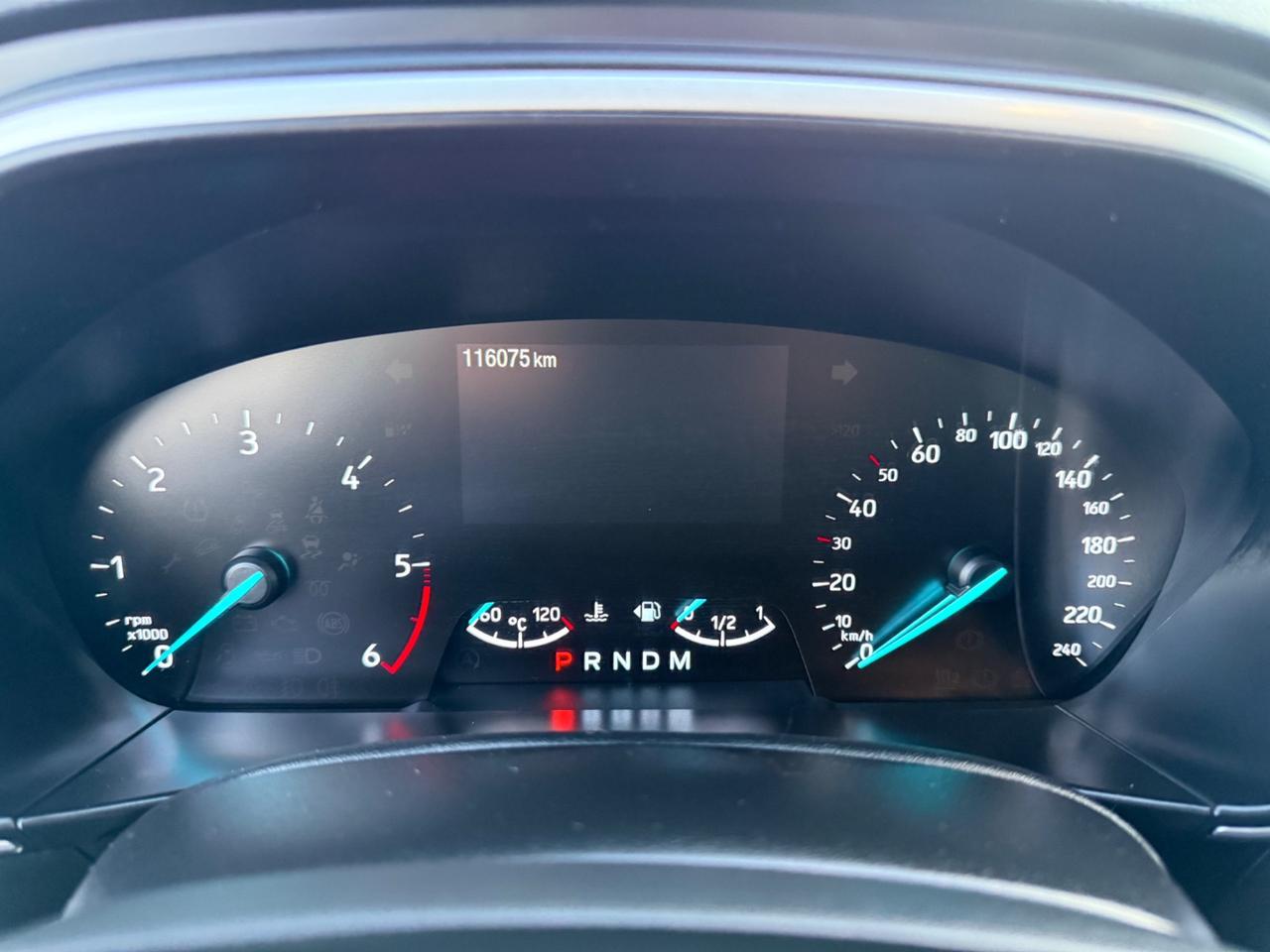 Ford Focus 1.5 EcoBlue 120 CV automatico 5p. Business Co-Pilot