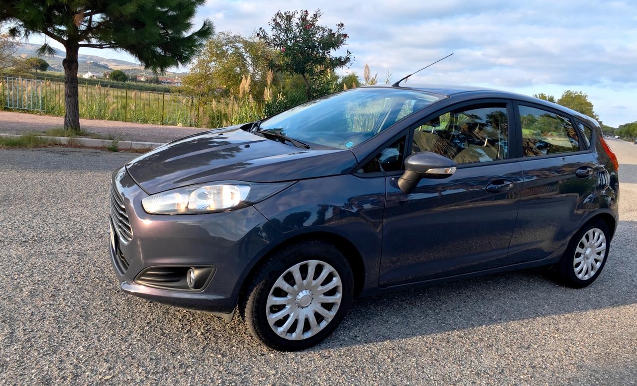 Ford Fiesta 1.0 80CV 5 porte Titanium