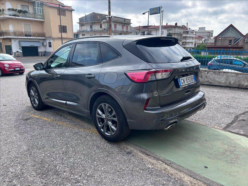 FORD Kuga 2.0 ecoblue ST-Line X 2wd 120cv auto del 2023