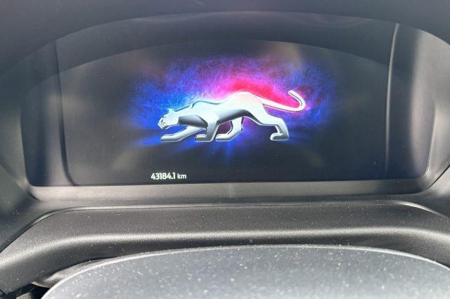 FORD Puma 1.0 EcoBoost 125 CV S&S ST-Line