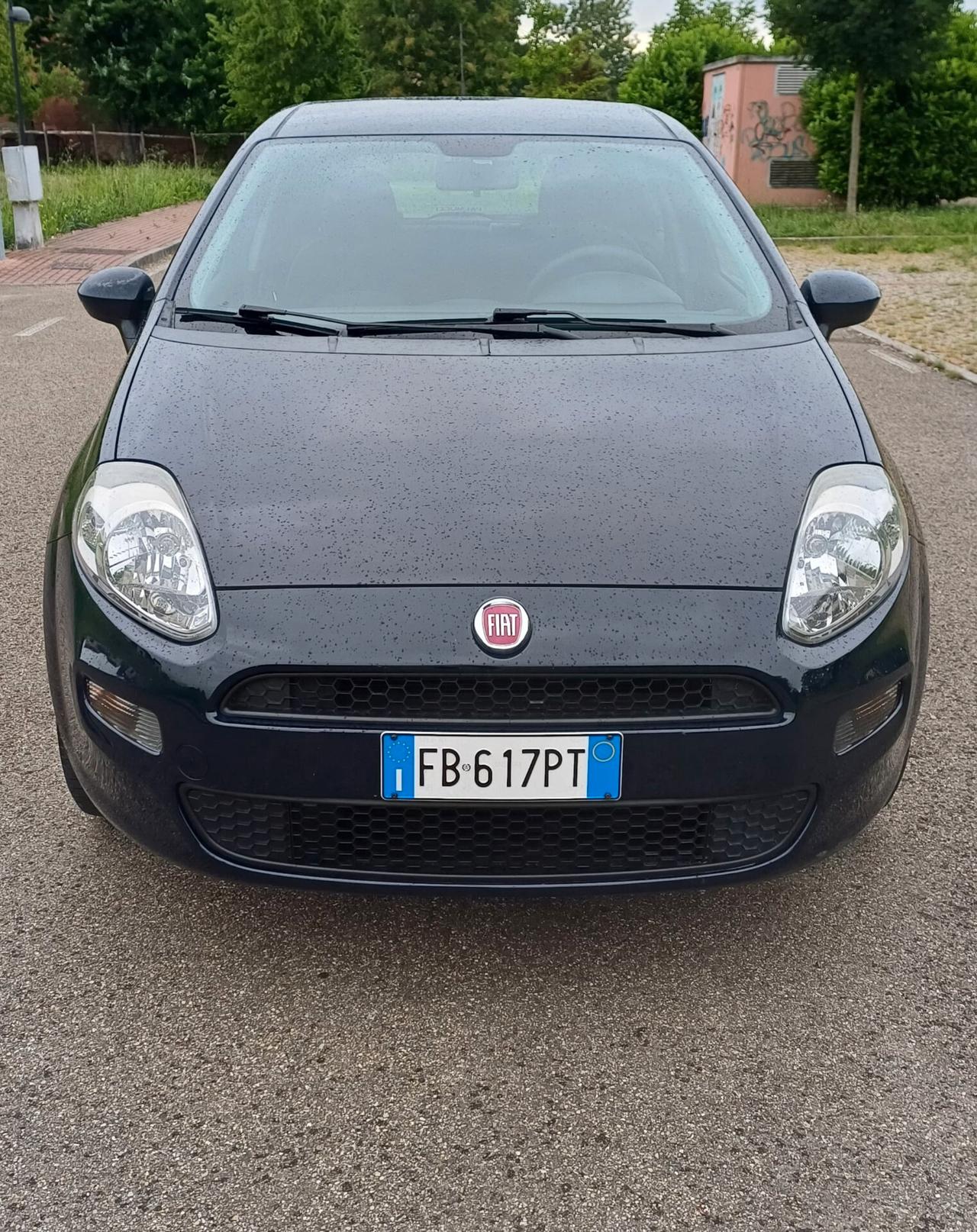 Fiat Punto 1.2 8V 5 porte Lounge