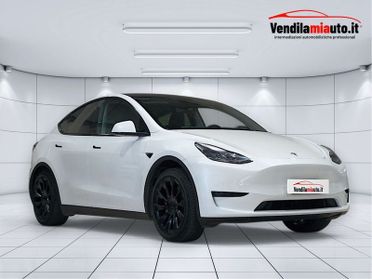 Tesla Model Y Model Y Single Motor rwd