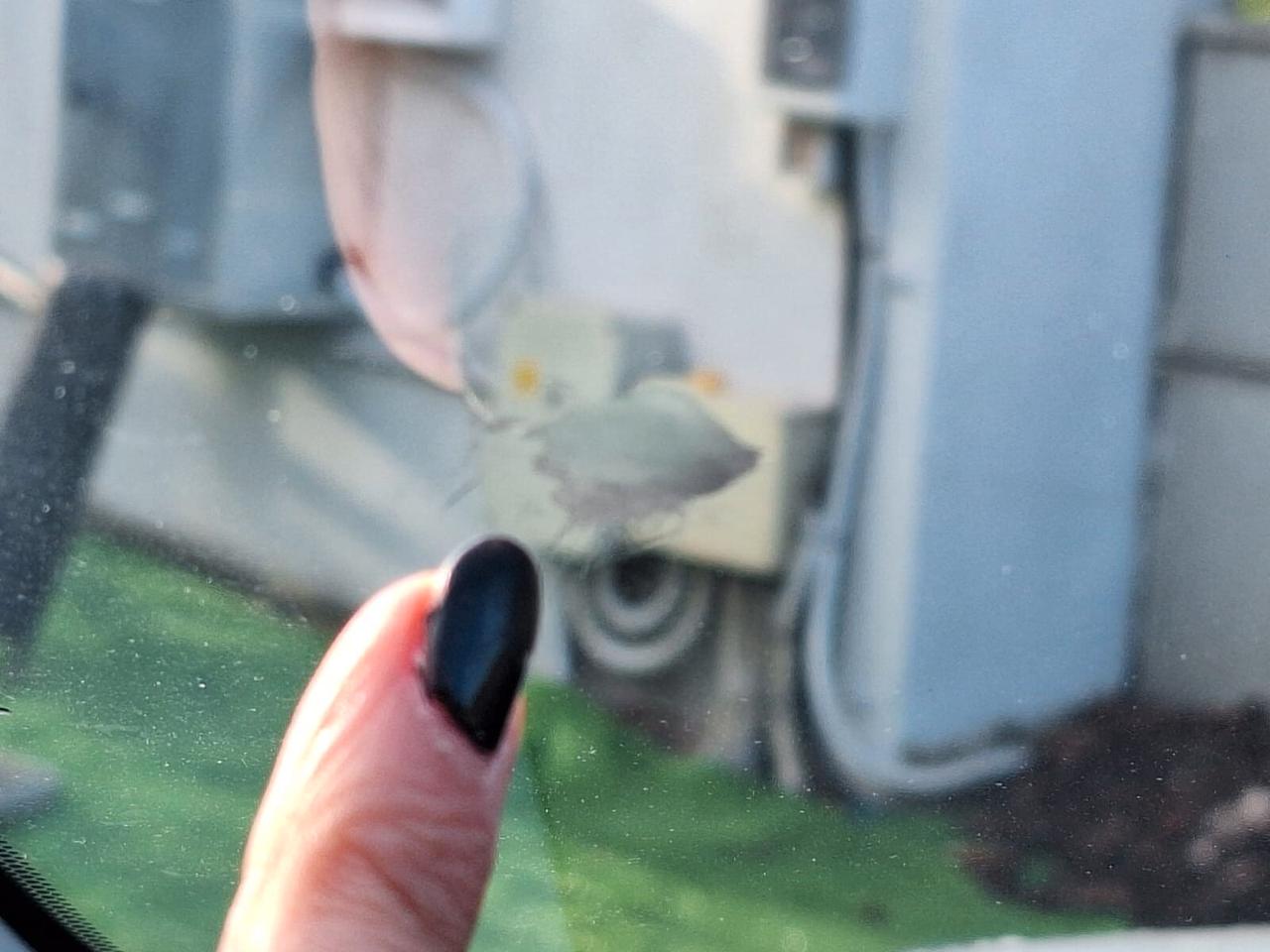 Toyota Yaris 1.5 Hybrid 5 porte Active PROMO 268 MESE zero anticipo