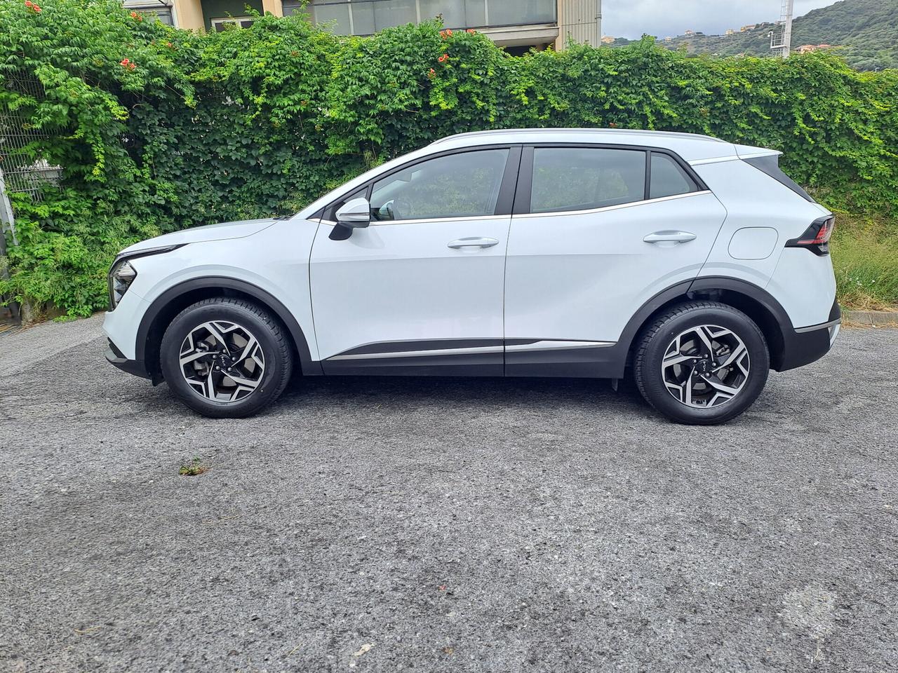 Kia Sportage 1.6 CRDI 136 CV 2WD Mild Hybrid Business PREZZO REALE