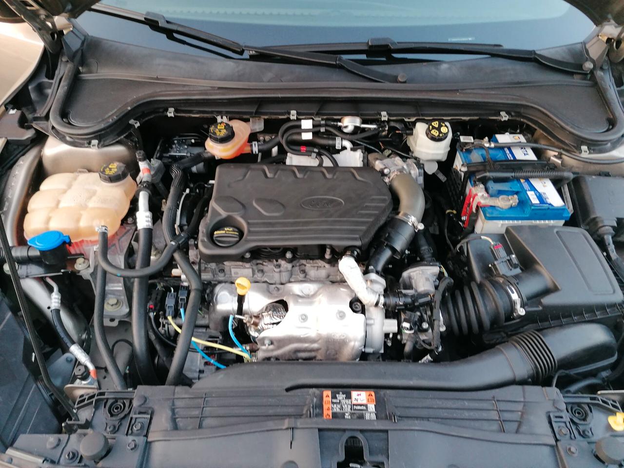 Ford Focus 1.5 EcoBlue 120 CV SW ST-Line
