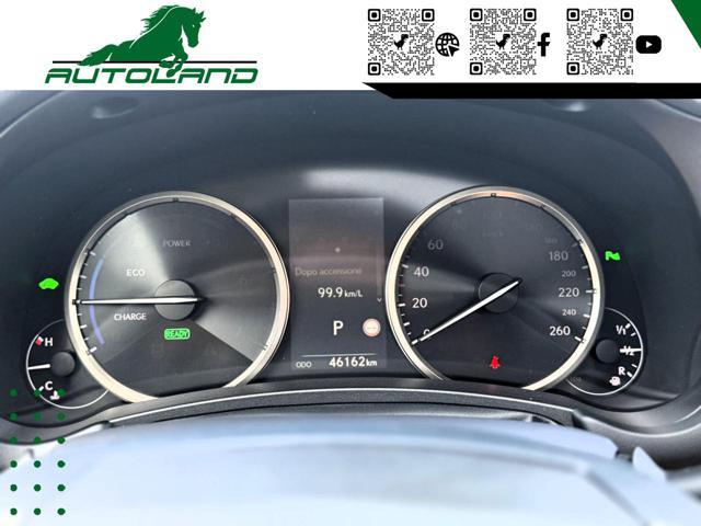 LEXUS NX 300 Hybrid 4WD Executive 155 CV