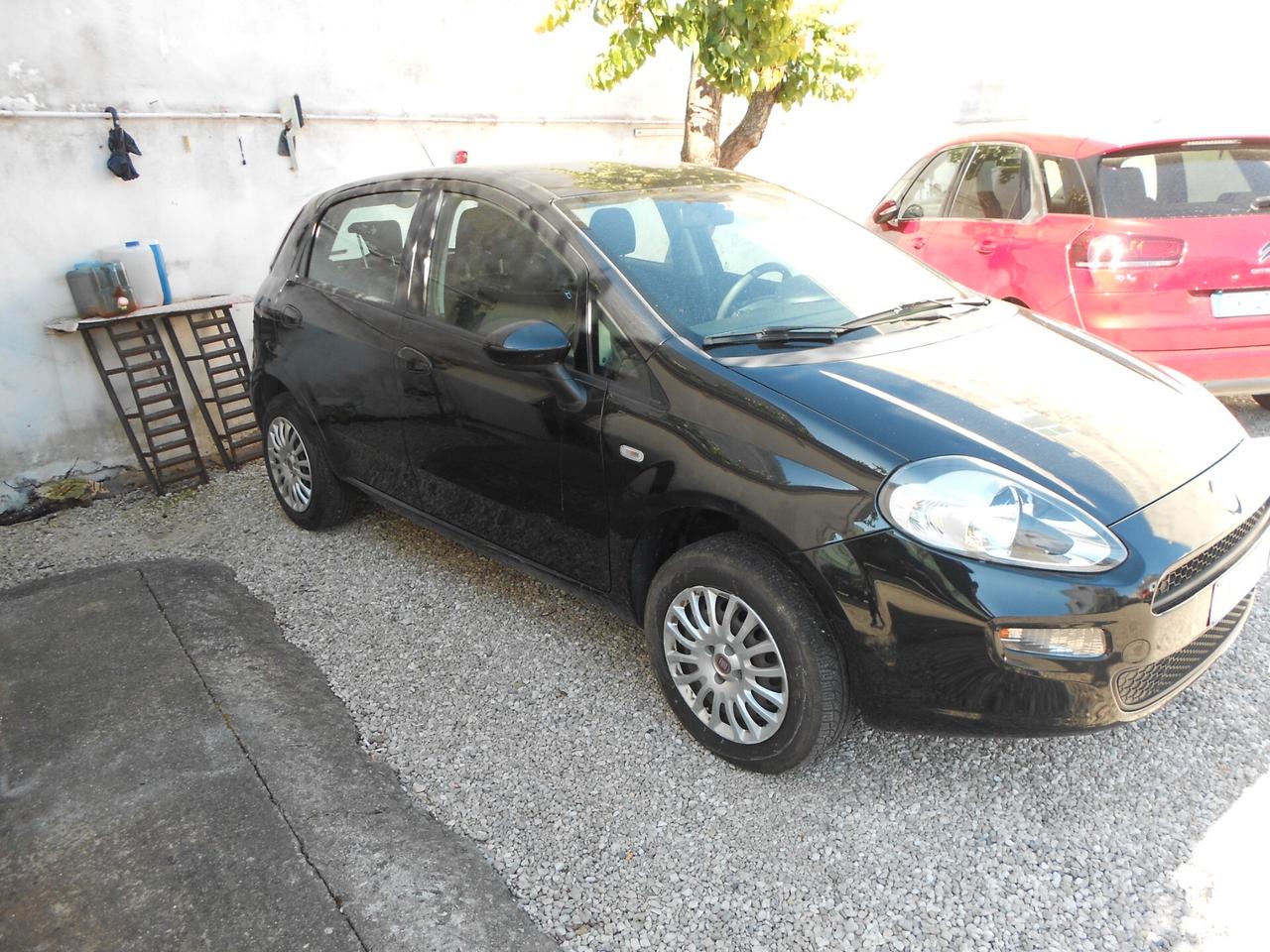 Fiat Punto 1.4 8V 5 porte Natural Power Lounge