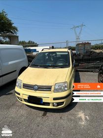 FIAT Panda 2ª serie Panda 1.2 Dynamic