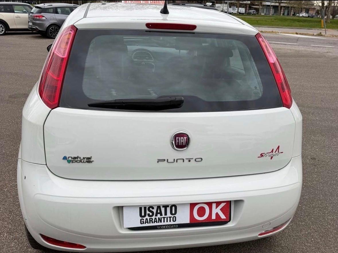 Punto 5p 1.4 Natural Power Street 70Cv E6b