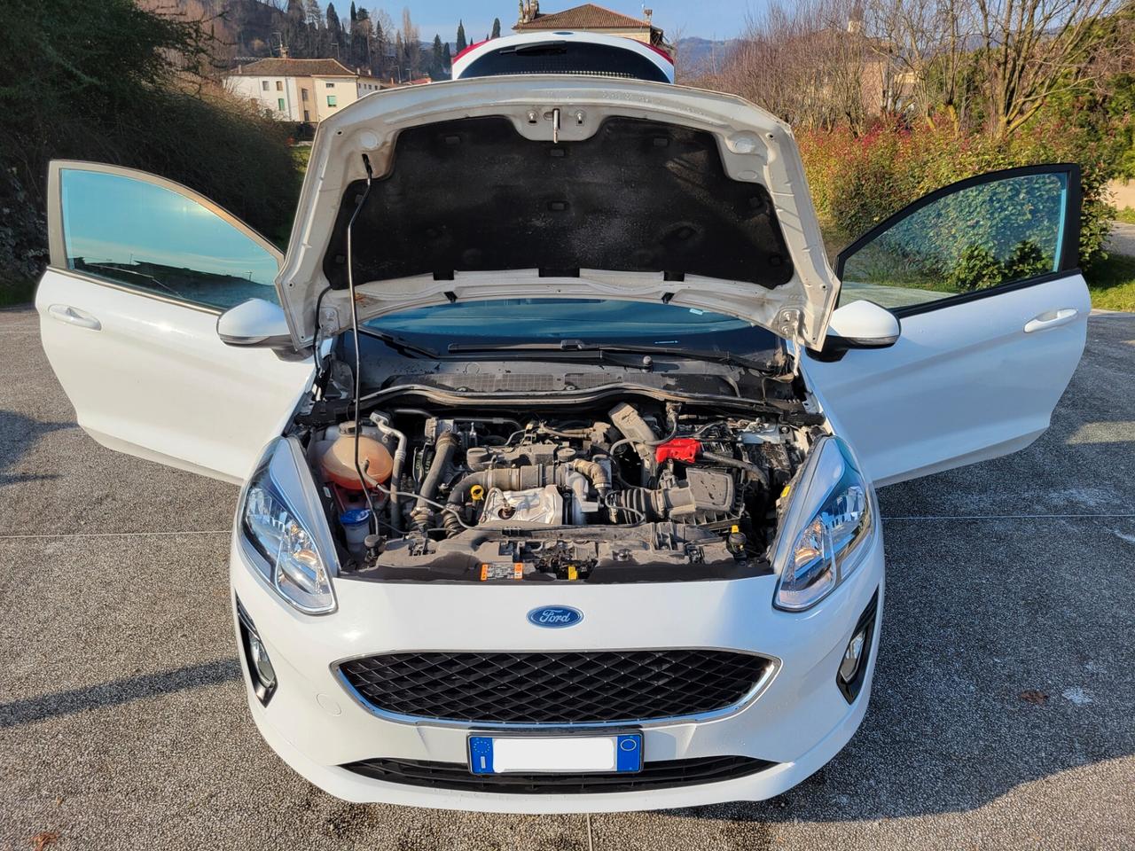 Ford Fiesta 1.5 TDCi 85 CV 3 porte Van Trend