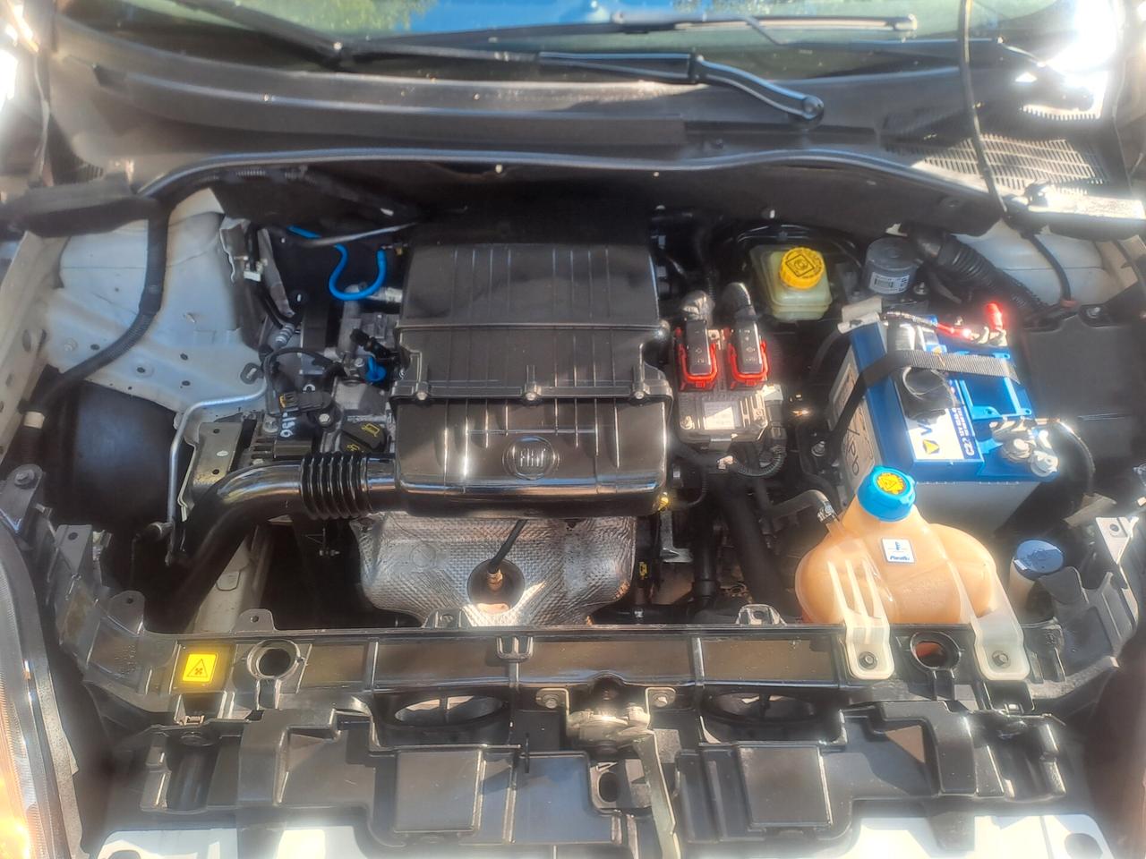 Fiat Punto Evo 1.2 5 porte S&S Dynamic