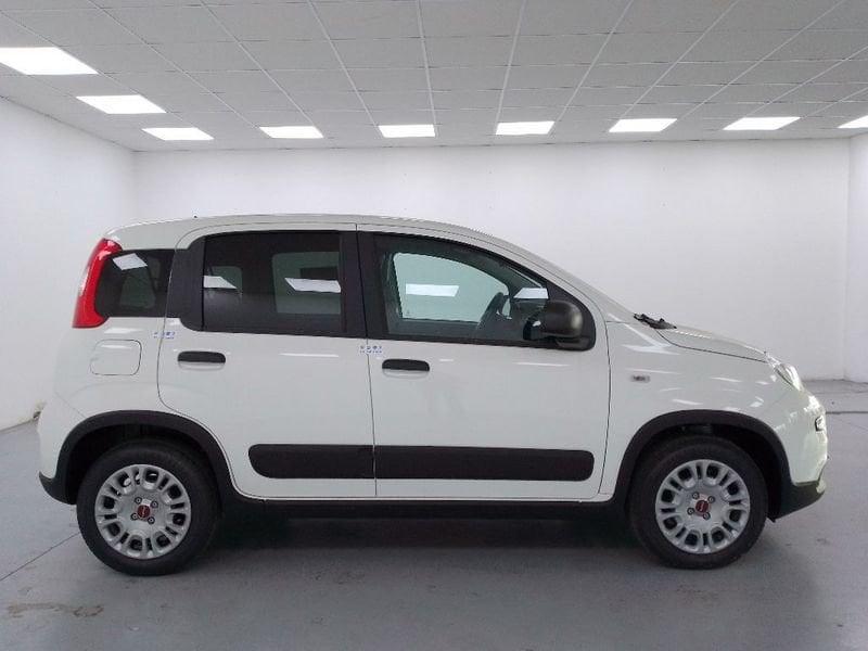 FIAT Panda van 1.0 hybrid 70cv 4p.ti serie 6