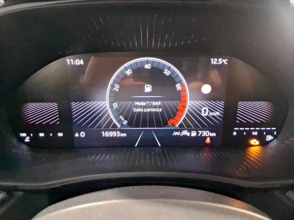 Skoda Fabia 1.0 tsi evo Young Edition 95cv