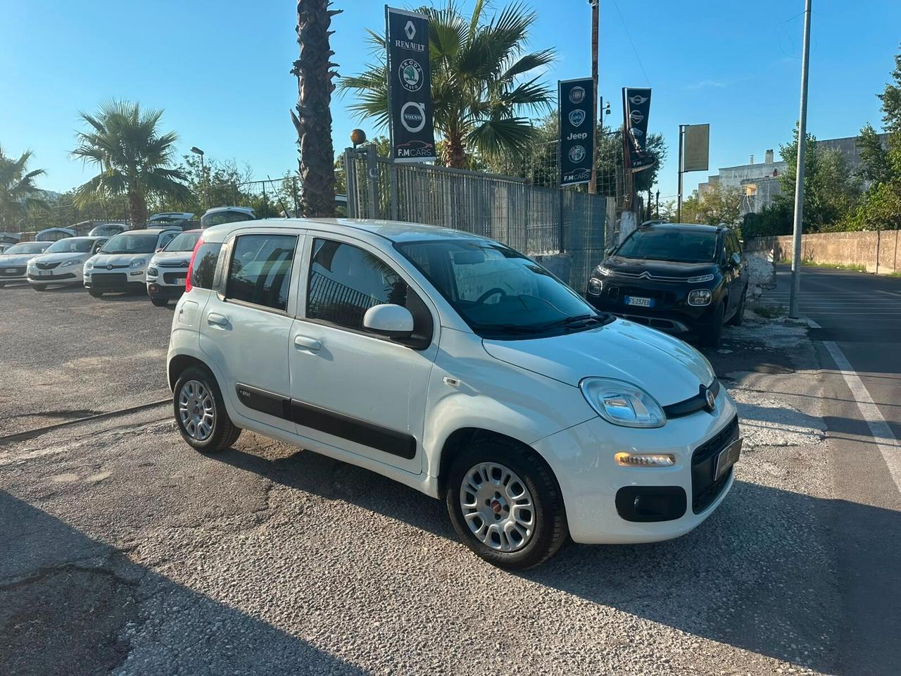 Fiat Panda 1.2 Benzina 2019